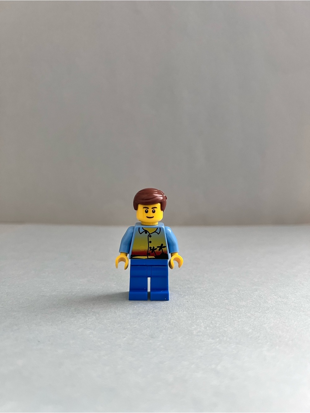 LEGO City Passenger Minifigure